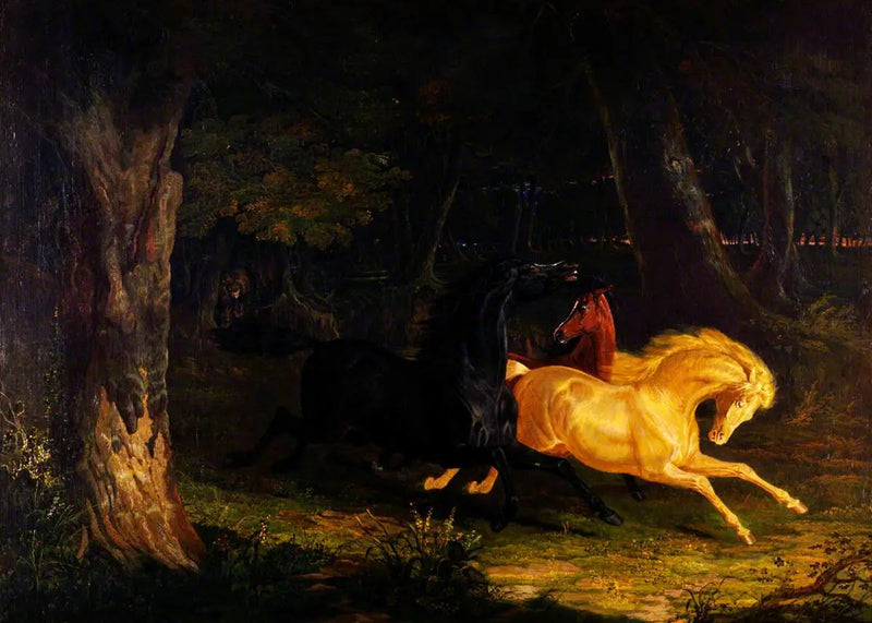 cavalli selvaggi - John Frederick Herring, Sr.