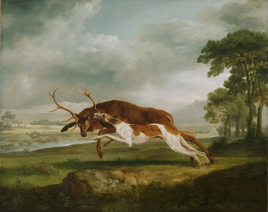 Cane in corsa alla caccia di un cervo - George Stubbs