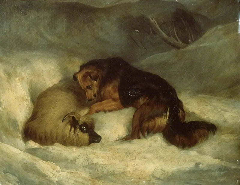 Cane da pastore delle Highlands nella neve (precedentemente noto come « Cane da pastore che salva un montone da una valanga ») - Edwin Henry Landseer