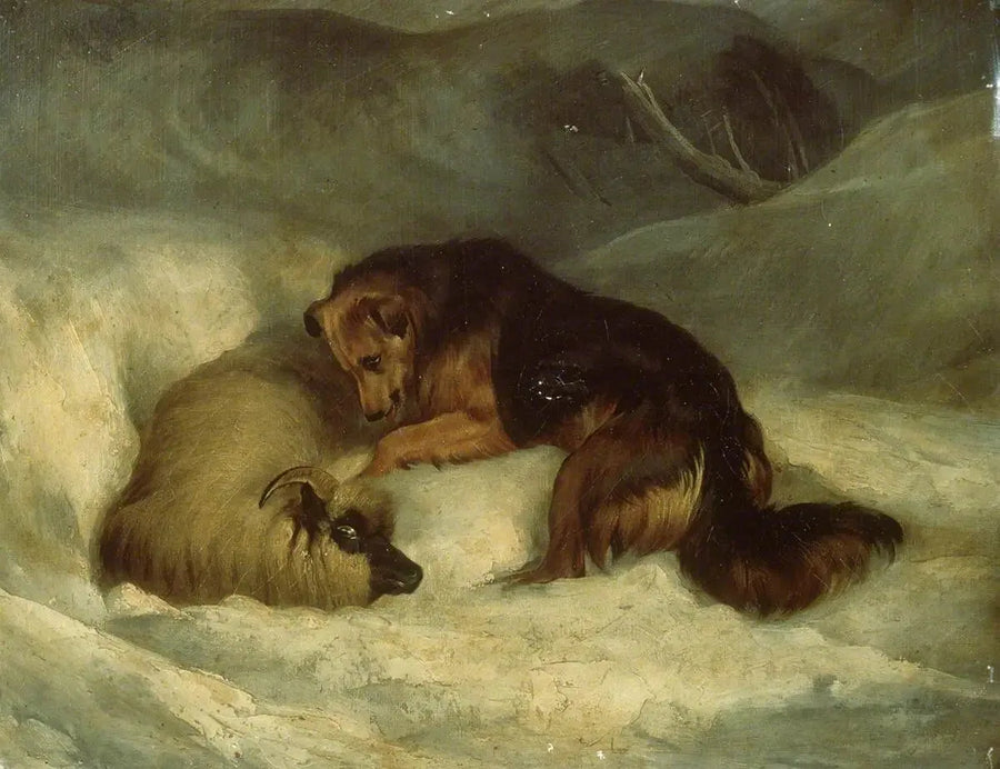 Cane da pastore delle Highlands nella neve (precedentemente noto come « Cane da pastore che salva un montone da una valanga ») - Edwin Henry Landseer