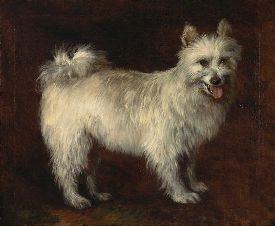 Cane Spitz - Thomas Gainsborough