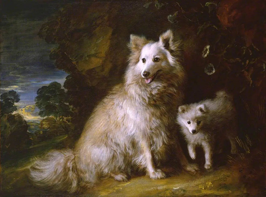Cane e cucciolo di pomerania - Thomas Gainsborough