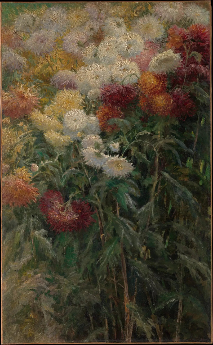 Crisantemi nel giardino del Petit Gennevilliers - Gustave Caillebotte