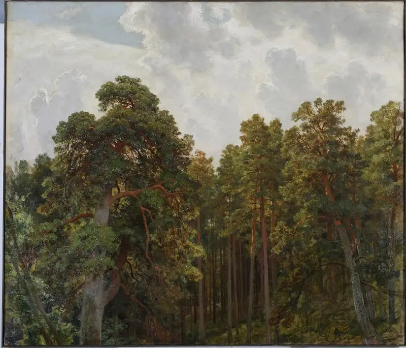 Cime di pini - Ivan Chichkine