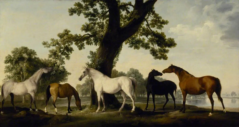Cinque puledre all'allevamento duca di Cumberland nel Grande Parco di Windsor - George Stubbs