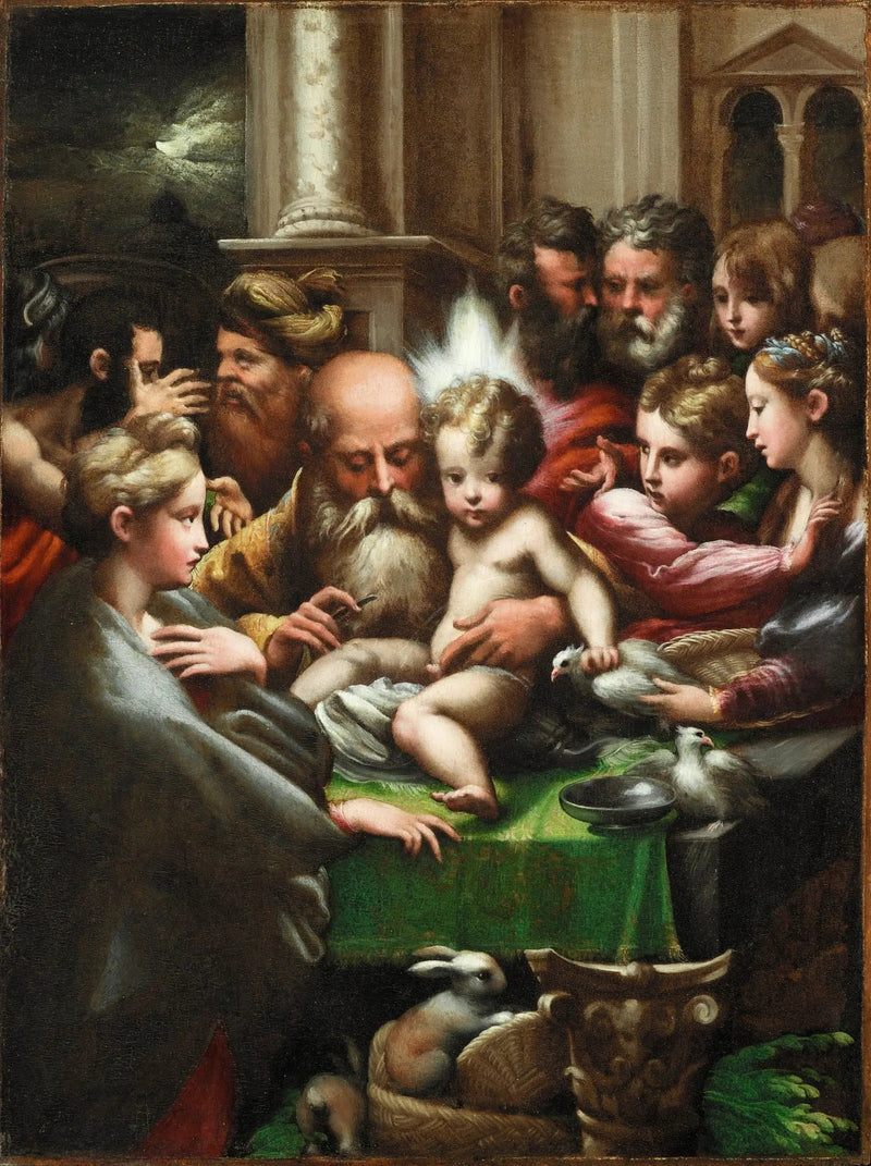 Circoncisione di Gesù - Parmigianino