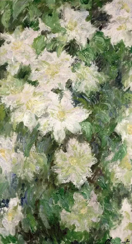 Clematide bianca W1144 - Claude Monet