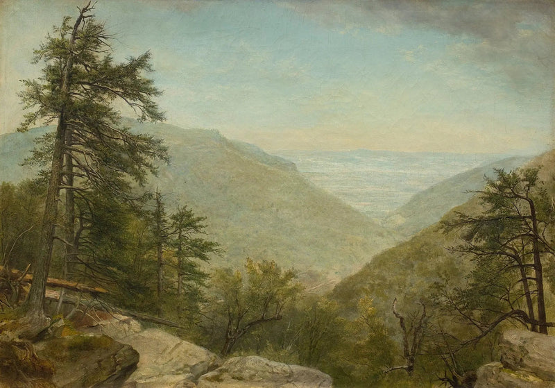 Chiodo di garofano di Kaaterskill - Asher Brown Durand