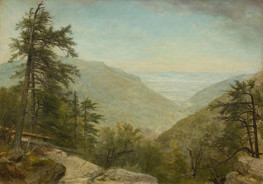 Chiodo di garofano di Kaaterskill - Asher Brown Durand