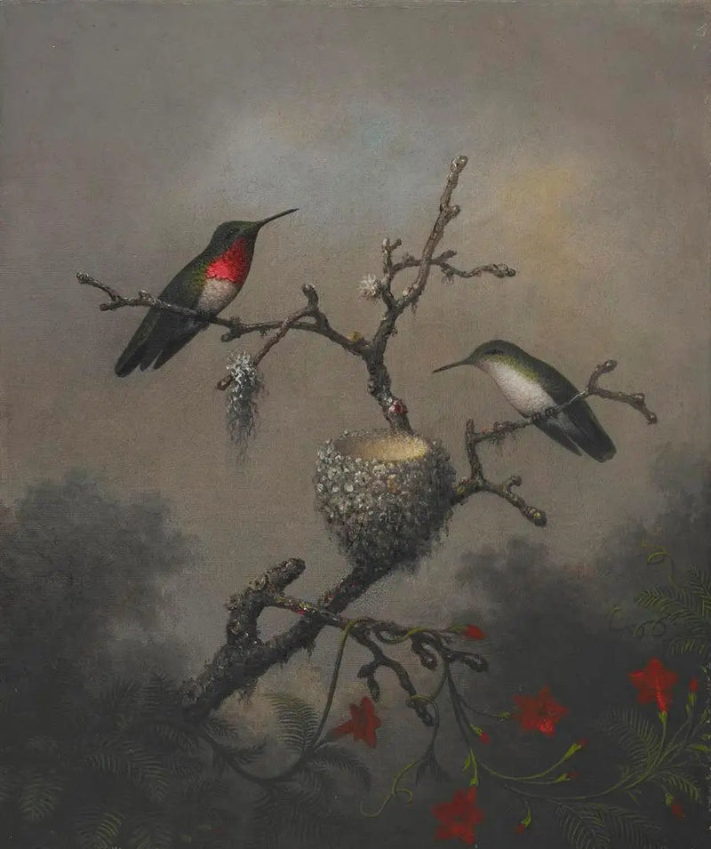 Colibrì con gola di rubino - Martin Johnson Heade