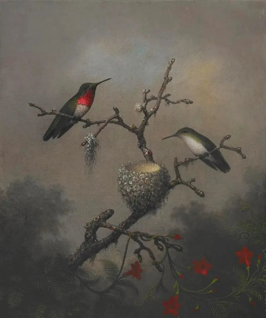 Colibrì con gola di rubino - Martin Johnson Heade