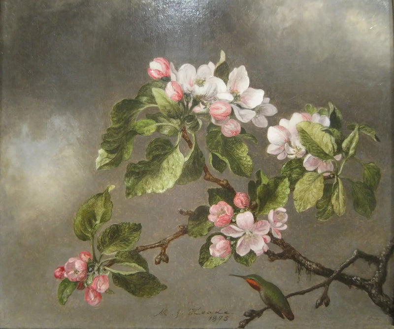Colibrì e fiori di melo - Martin Johnson Heade