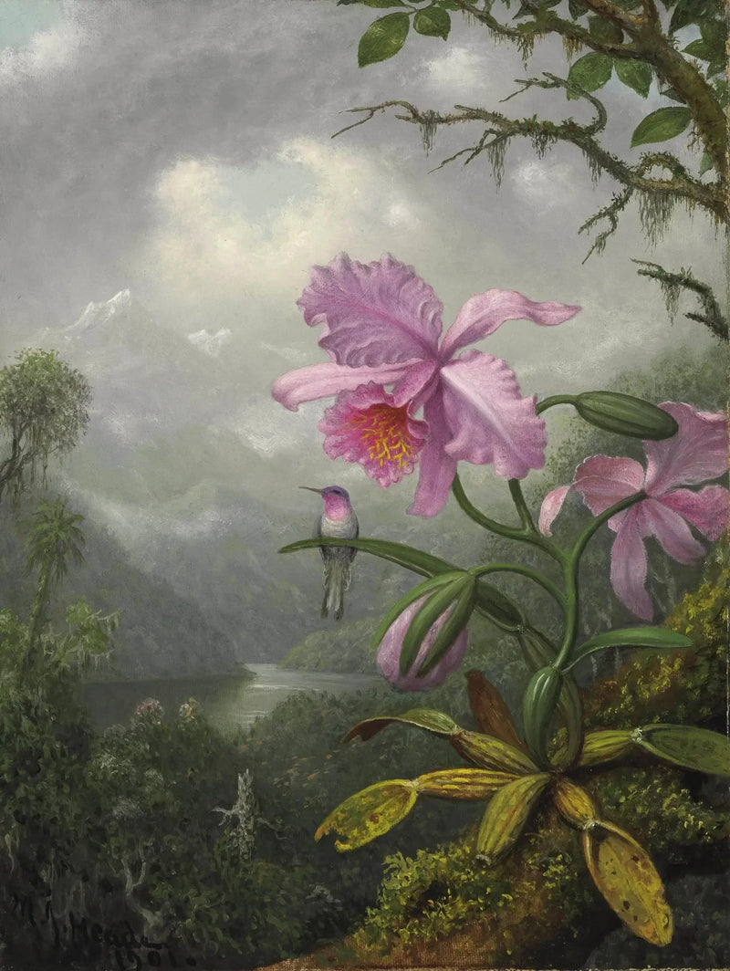 Colibrì perché sulla pianta di orchidea - Martin Johnson Heade
