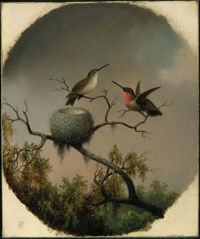 Colibrì con nido - Martin Johnson Heade