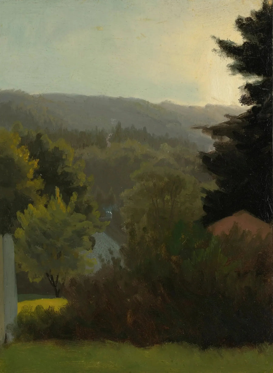 Colline boscose - Albert Bierstadt