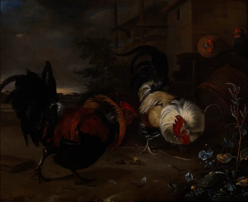 Combattimento di galli - Melchior de Hondecoeter