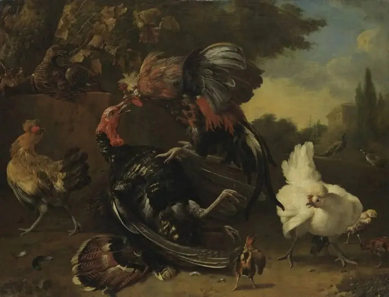 Combattimento tra un gallo e una tacchina - Melchior de Hondecoeter