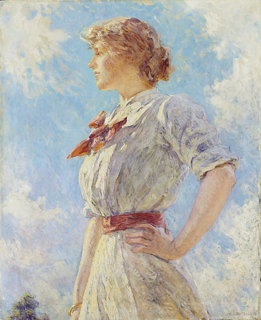 Contro il cielo - Robert Lewis Reid