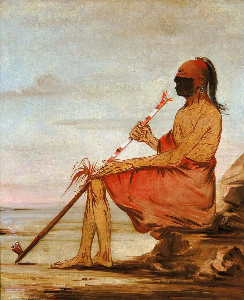 Coo-coo-coo, il gufo, un vecchio capo - George Catlin