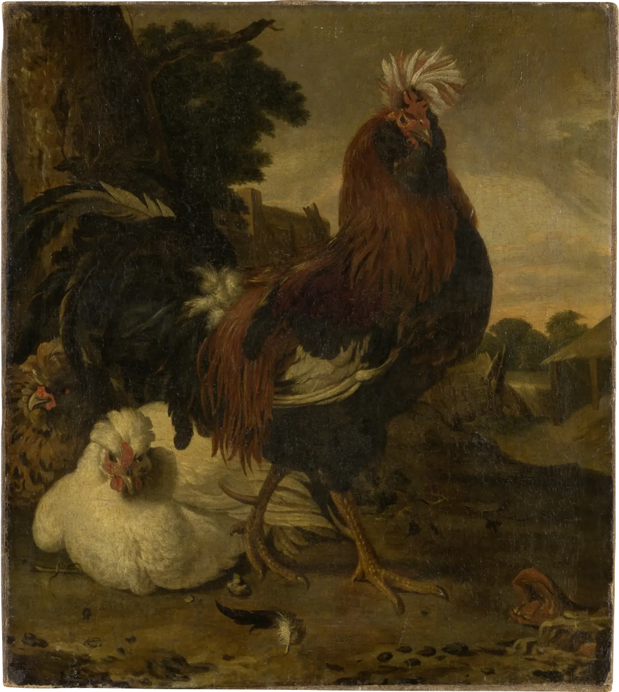 Gallo in un cortile - Melchior de Hondecoeter