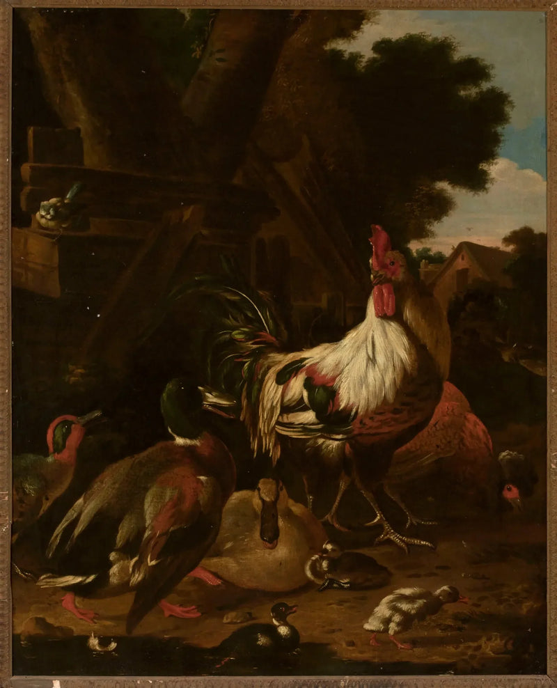 Gallo e anatre - Melchior de Hondecoeter