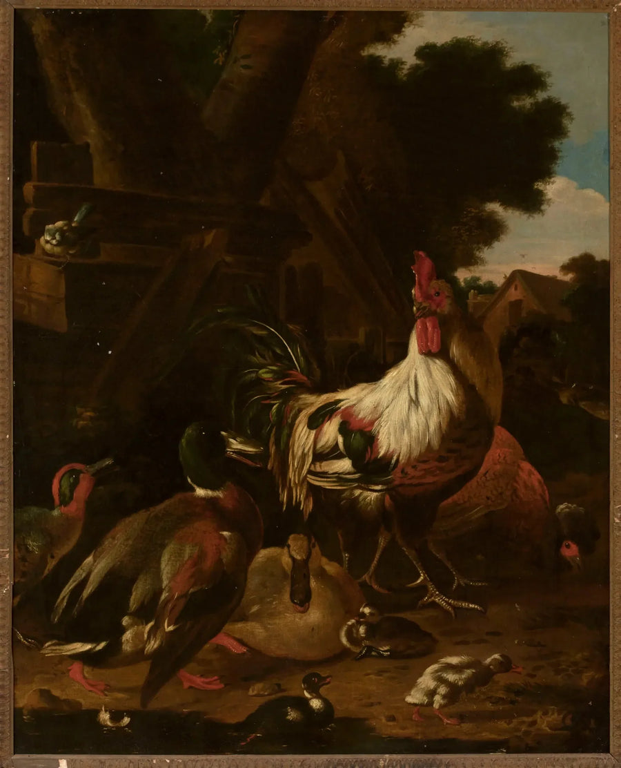 Gallo e anatre - Melchior de Hondecoeter