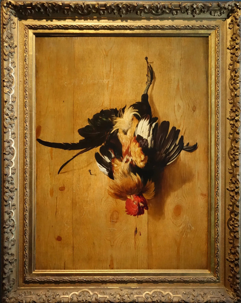 Gallo morto - Melchior de Hondecoeter