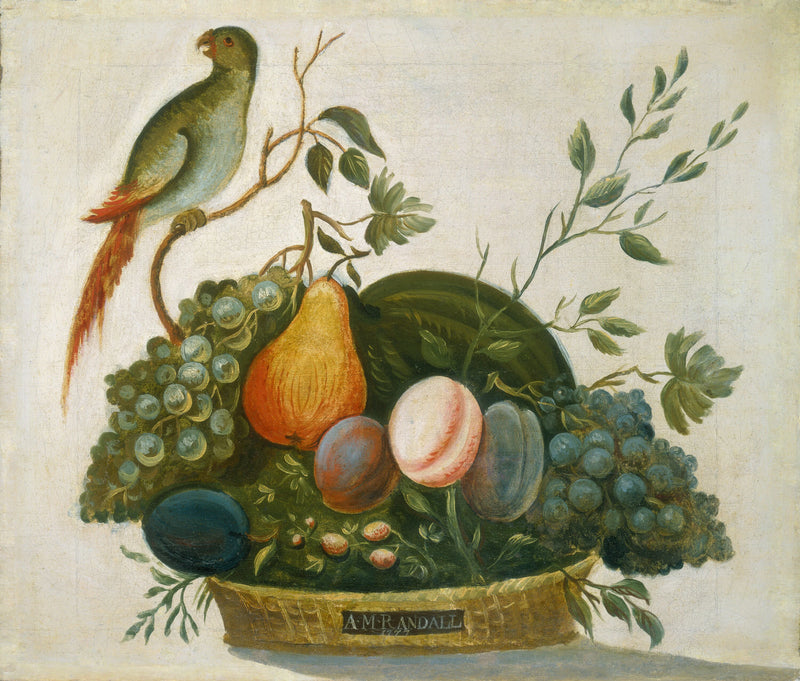 Corbeille de Fruits avec Perroquet - A.M. Randall