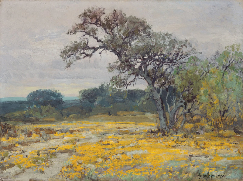 Cor��opsis, vicino a San Antonio, Texas - Julian Onderdonk