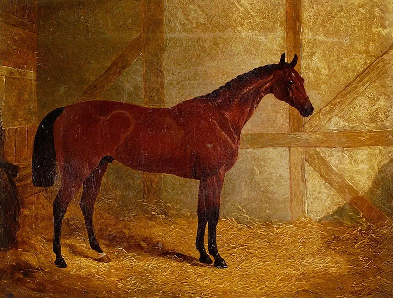 Cotherstone, vincitore del Derby - John Frederick Herring, Sr.