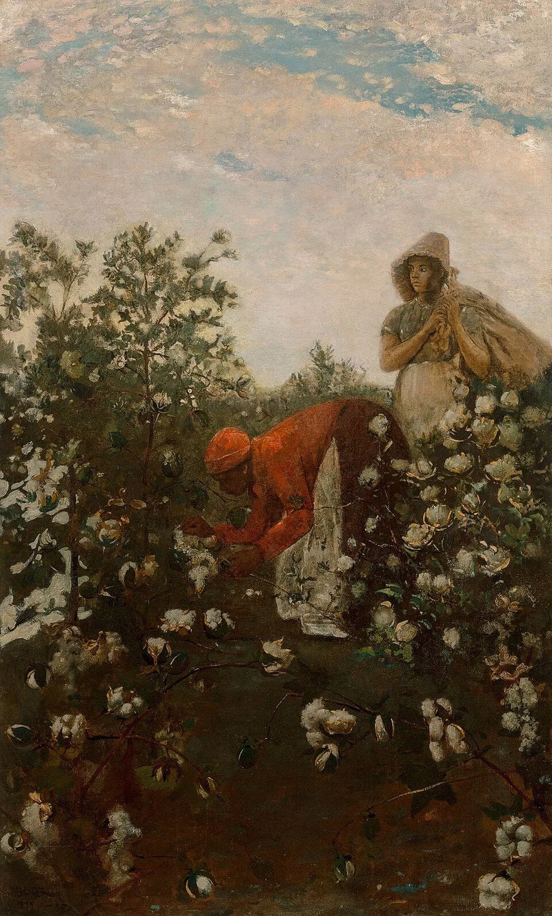 Coton des hautes terres - Winslow Homer