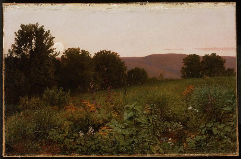 Tramonto sulla prateria - William Trost Richards