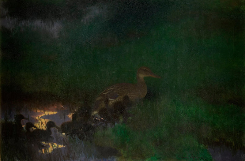Nidiata di anatre selvatiche - Bruno Liljefors