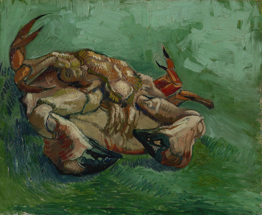 Granchio, sdraiato sulla schiena - Vincent van Gogh