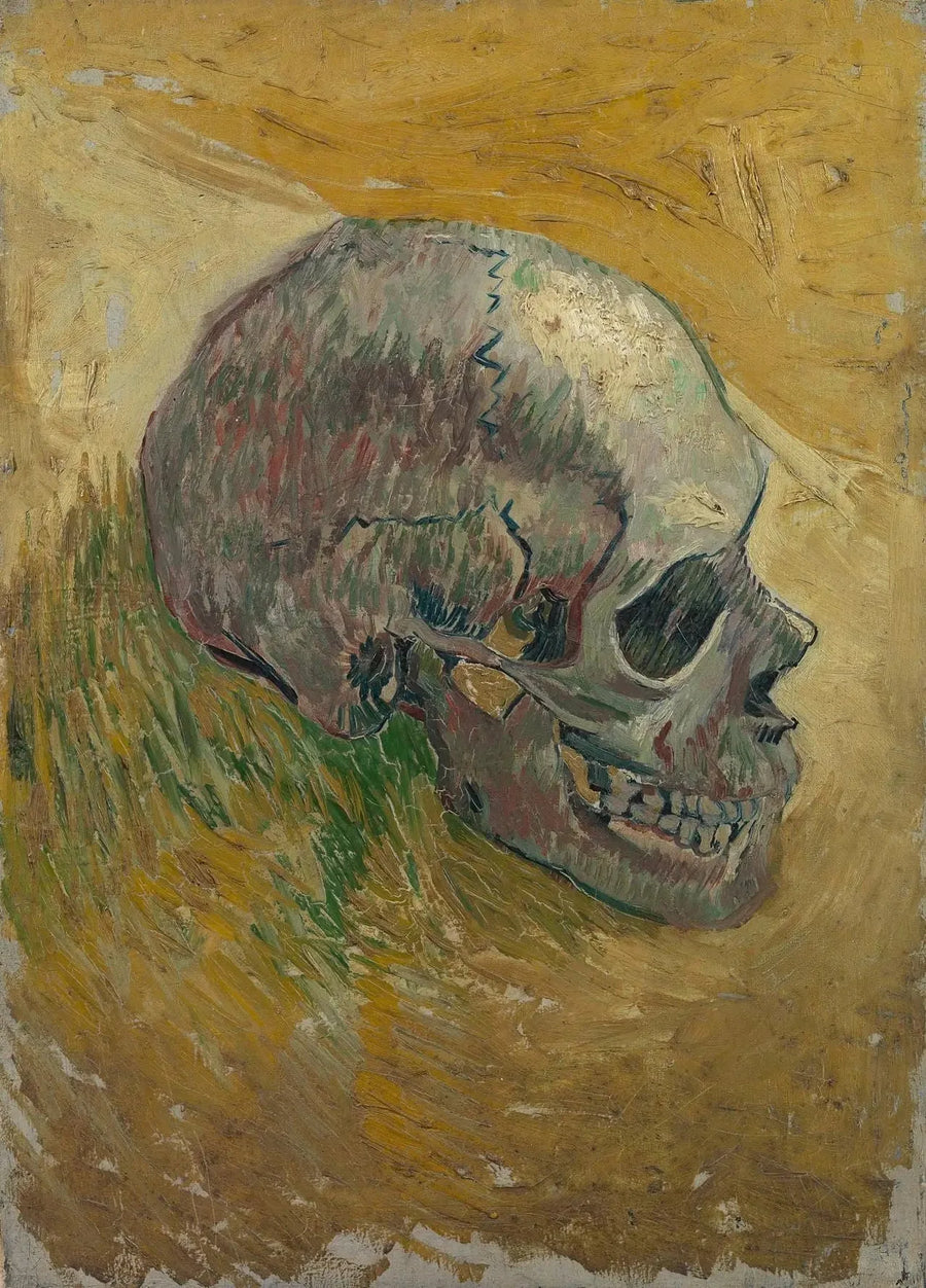 Teschio di scheletro - Vincent van Gogh