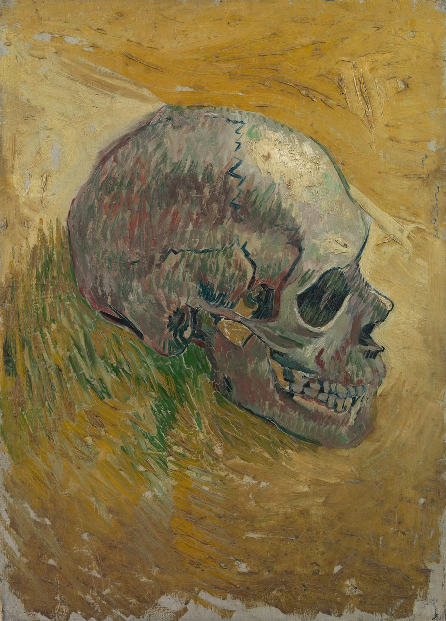 Teschio di scheletro - Vincent van Gogh