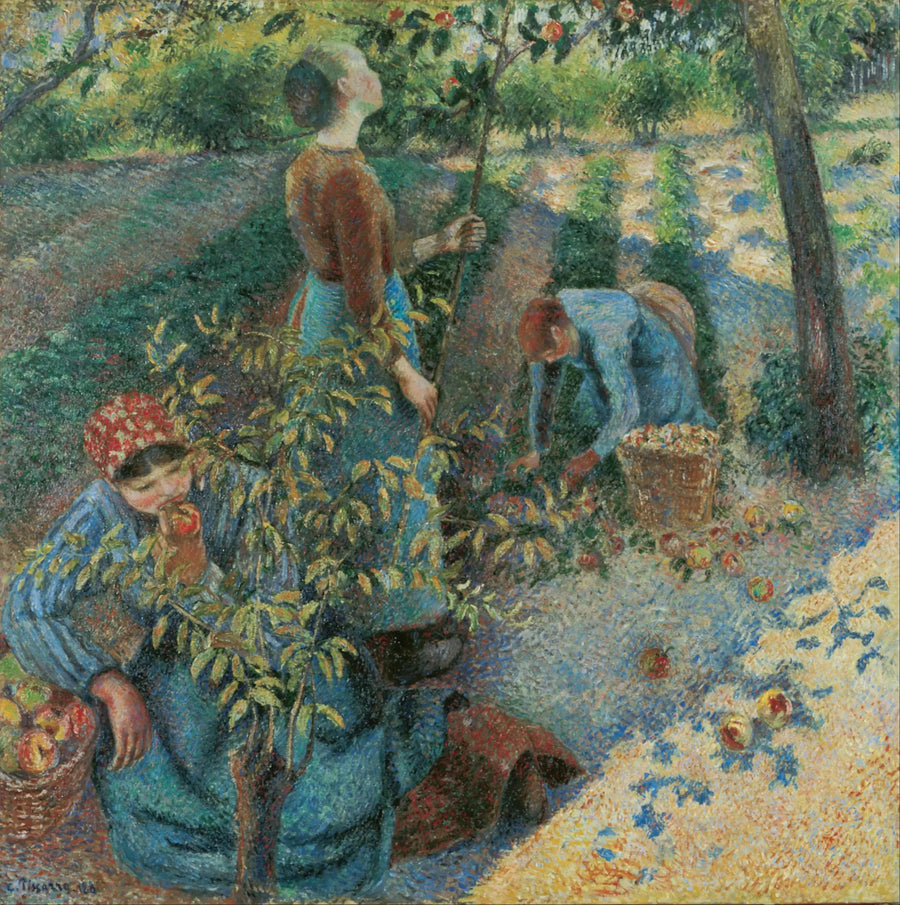 Raccolta di mele - Camille Pissarro