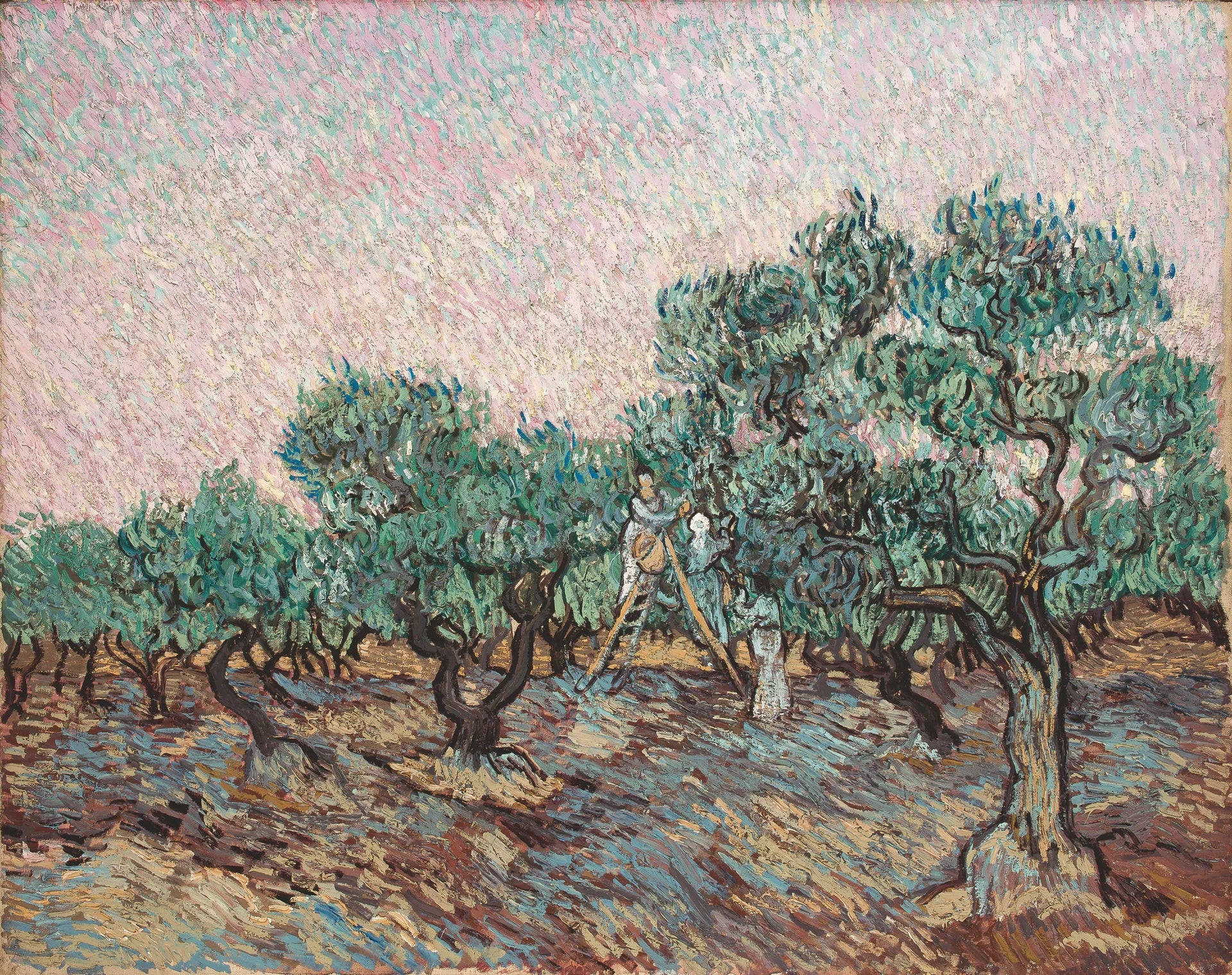La Cueillette des olives F654 de Vincent van Gogh, Fondation Basil et Elise Goulandris