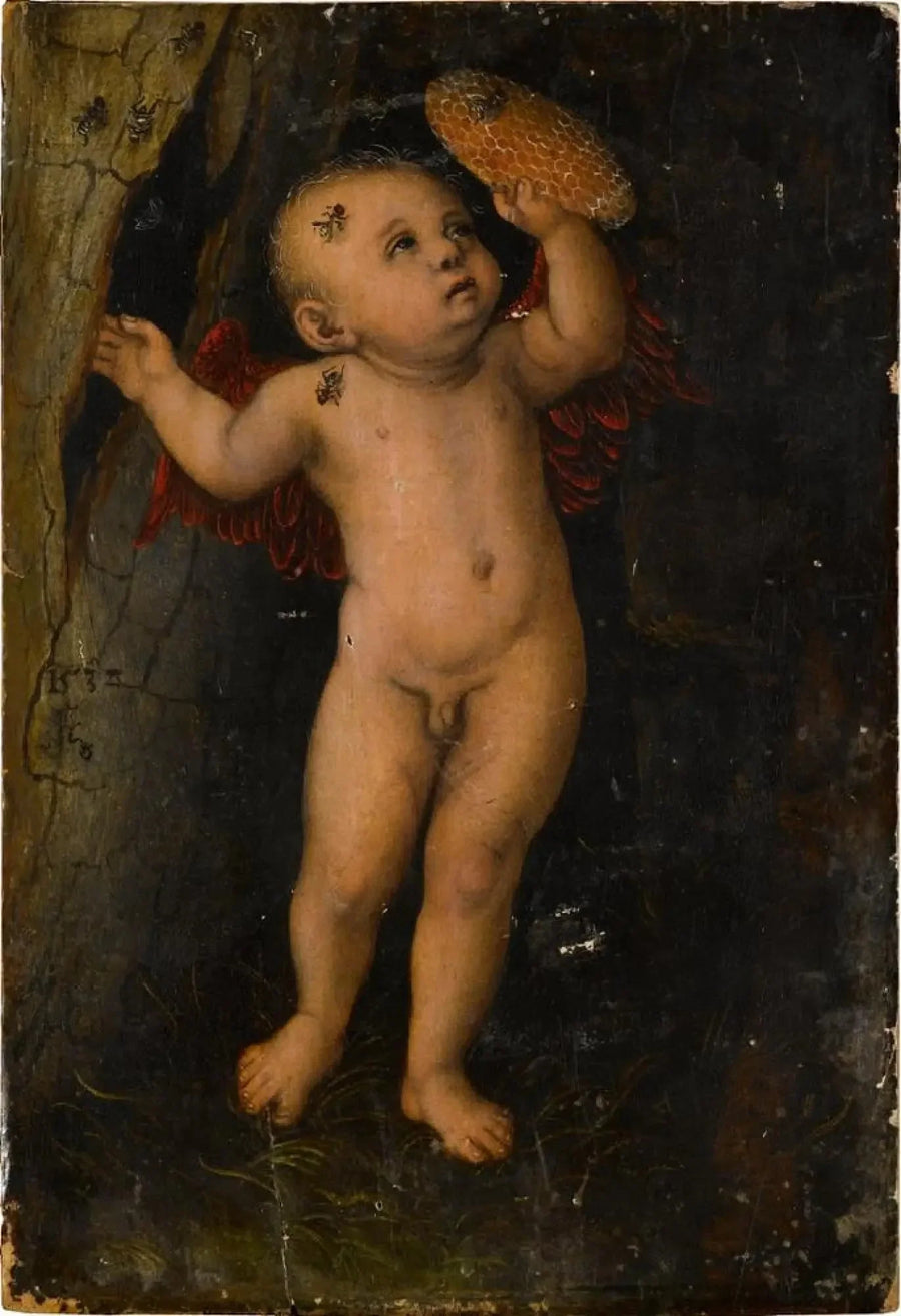 Cupido come ladro di miele - Lucas Cranach il Vecchio
