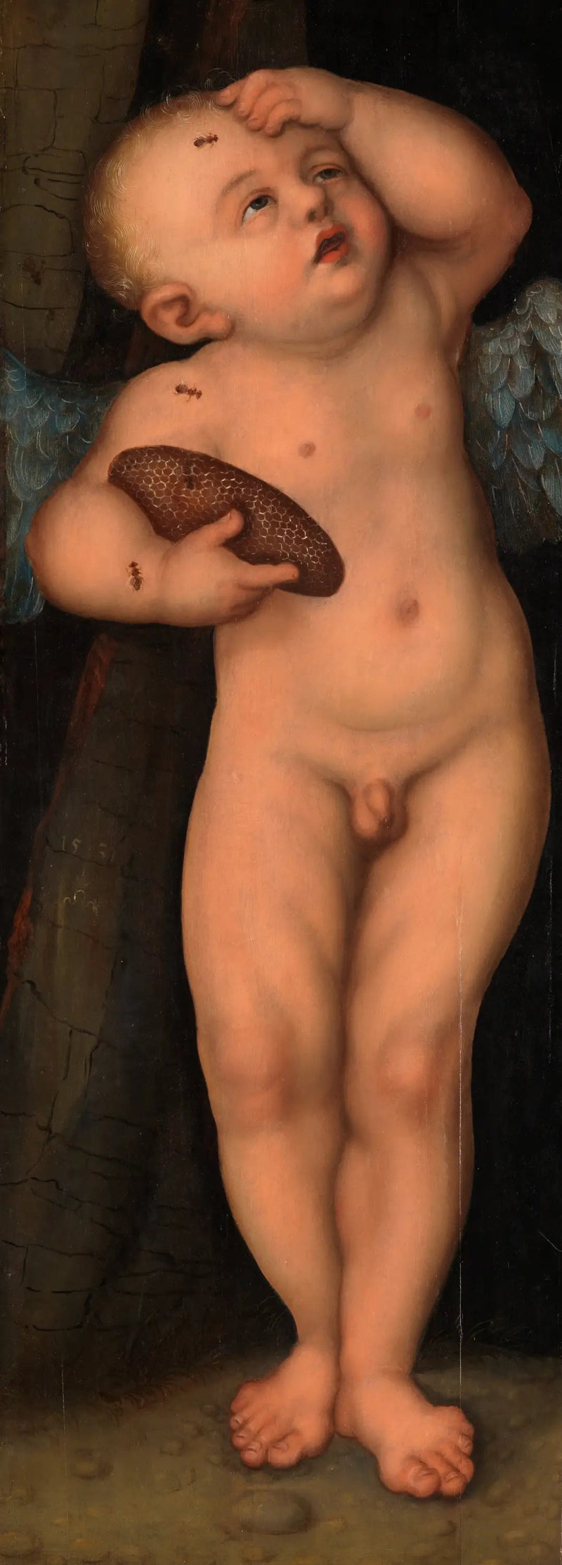 Cupido come ladro di miele - Lucas Cranach il Vecchio