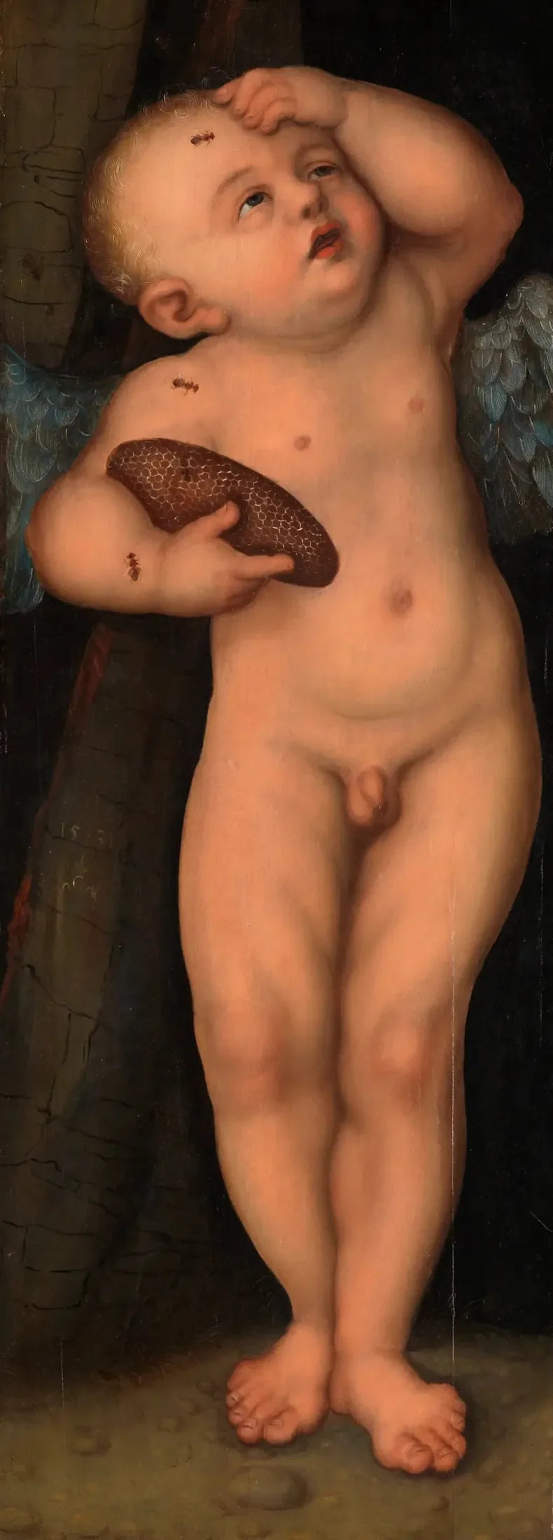 Cupido come ladro di miele - Lucas Cranach il Vecchio