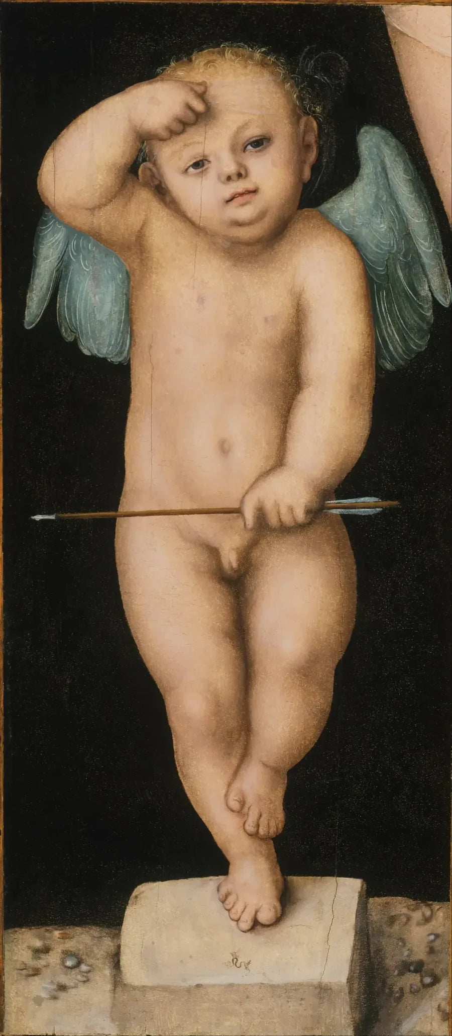Cupido - Lucas Cranach il Vecchio