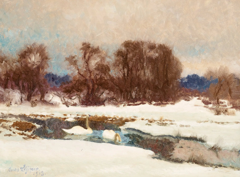 cigni invernali - Bruno Liljefors