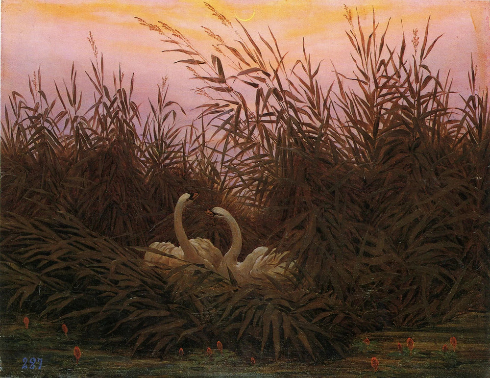 Reproduction du tableau « Cygnes dans les roseaux à la première aube - Caspar David Friedrich » par Alpha Reproduction en peinture à l’huile