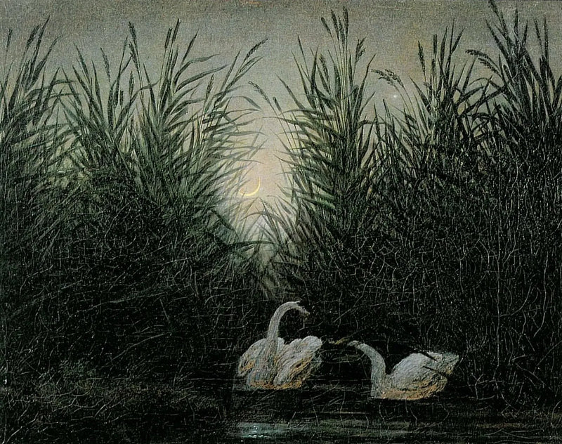 Cigni tra le canne alle prime luci dell'alba - Caspar David Friedrich