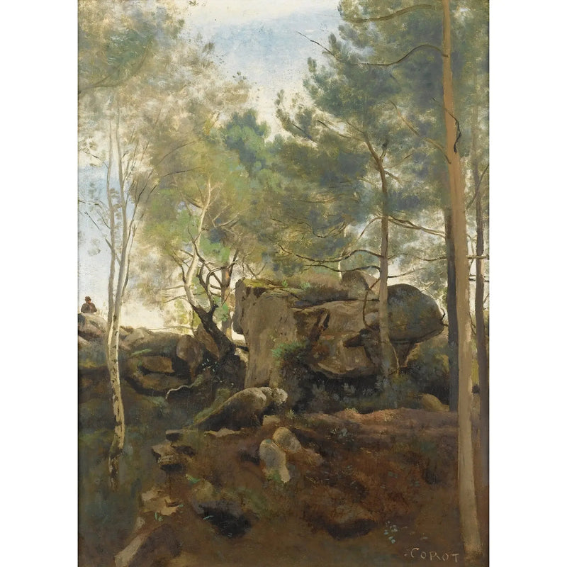 Nella foresta di Fontainebleau. Pinie e betulle tra le rocce - Jean-Baptiste Camille Corot