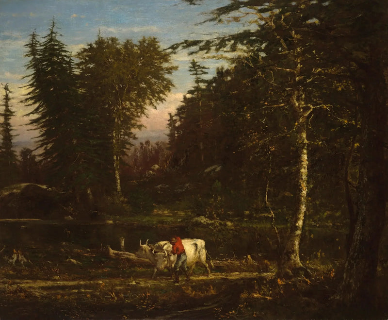 Nelle Adirondacks - George Inness