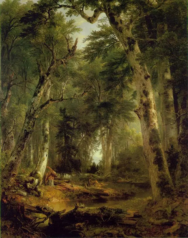 Nei boschi - Asher Brown Durand