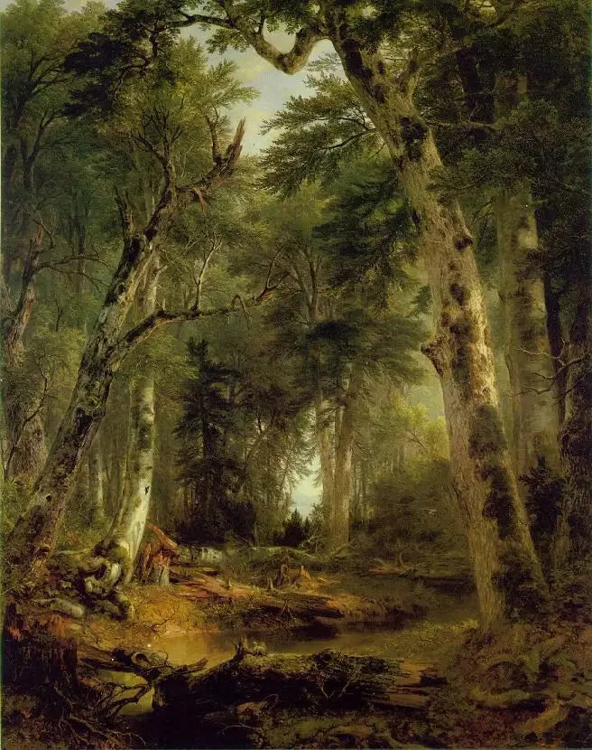 Nei boschi - Asher Brown Durand