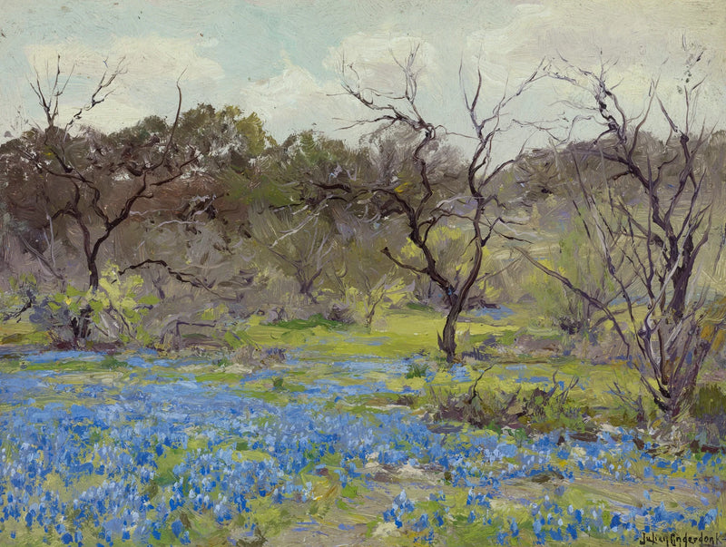 Inizio primavera 😉 Lupini blu e mesquite - Julian Onderdonk